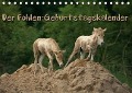 Cover-Bild zum Titel 'Der Fohlen-Geburtstagskalender (Tischkalender immerwährend DIN A5 quer)' von 'Martina Berg'