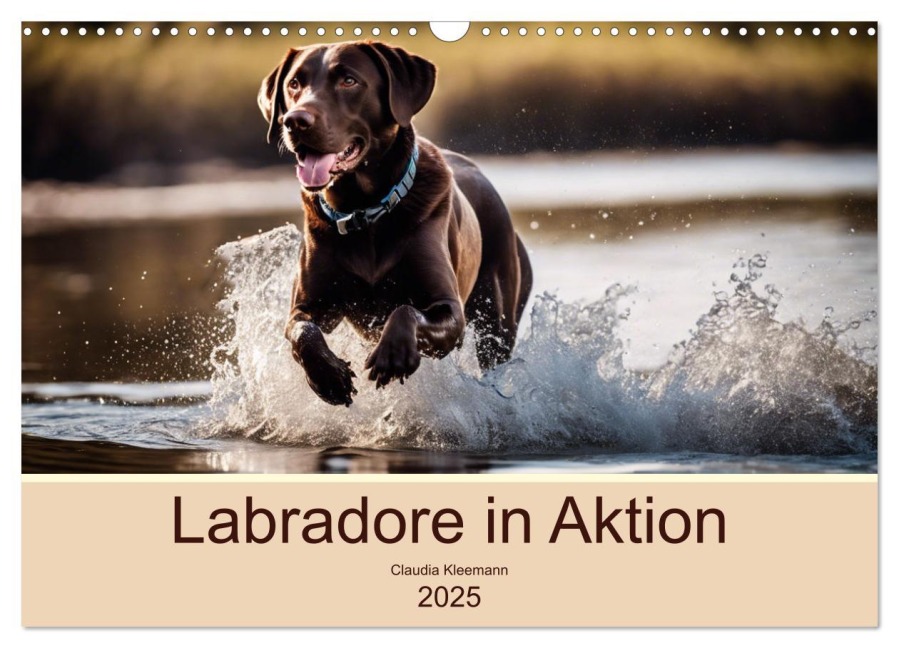 Labradore in Aktion (Wandkalender 2025 DIN A3 quer), CALVENDO Monatskalender - Claudia Kleemann