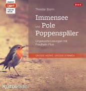 Cover-Bild zum Titel 'Immensee und Pole Poppenspäler' von 'Theodor Storm'