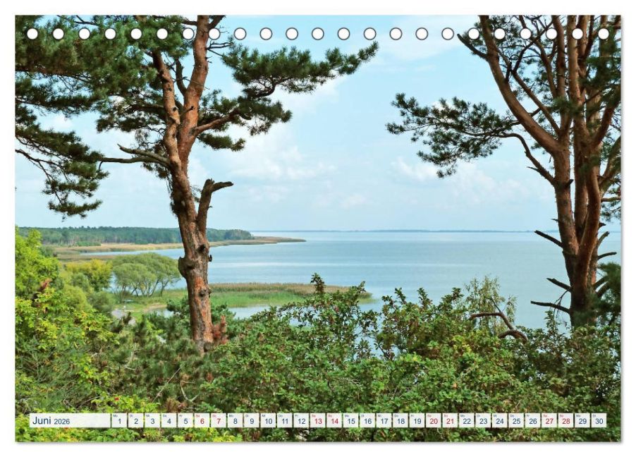 InsideView 11