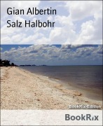 Cover-Bild zum Titel 'Salz Halbohr' von 'Gian Albertin'