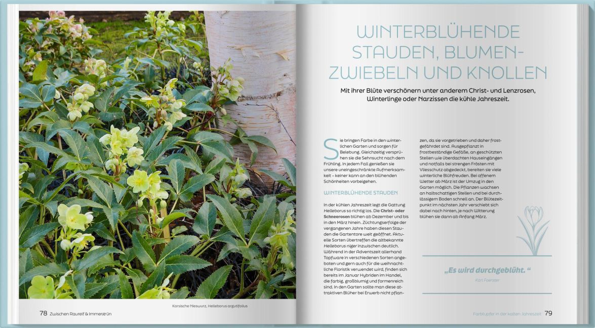 InsideView 3