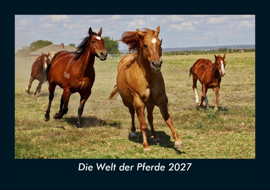Die Welt der Pferde 2027 Fotokalender DIN A5 - Tobias Schmitt, Kevin Heber