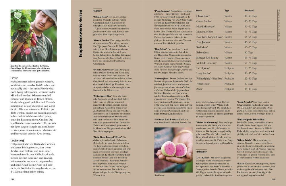 InsideView 8