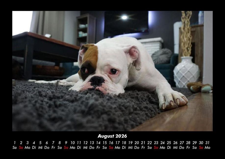InsideView 12