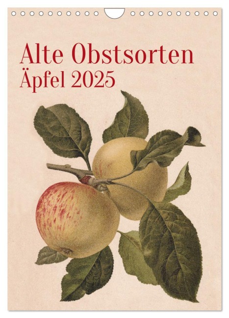 Alte Obstsorten - Äpfel 2025 (Wandkalender 2025 DIN A4 hoch), CALVENDO Monatskalender - Neue Gablenzer Werkstätten und Verlag