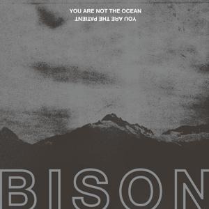 You Are Not The Ocean You Are The Patient - Bison
