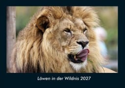 Cover-Bild zum Titel 'Löwen in der Wildnis 2027 Fotokalender DIN A4' von 'Tobias Schmitt, Kevin Heber'