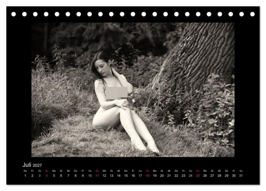 InsideView 12