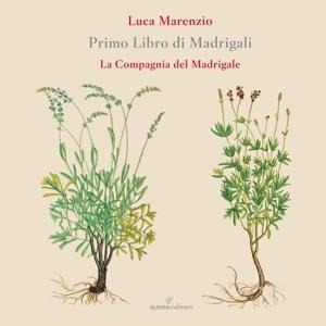 Primo Libro Di Madrigali - Compagnia del Madrigale