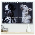 charakterstarke Hunde, wunderschöne Hundeportraits (hochwertiger Premium Wandkalender 2025 DIN A2 quer), Kunstdruck in Hochglanz - Susanne Stark Sugarsweet - Photo