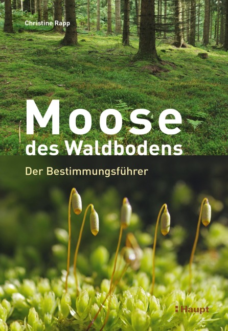 Moose des Waldbodens - Christine Rapp