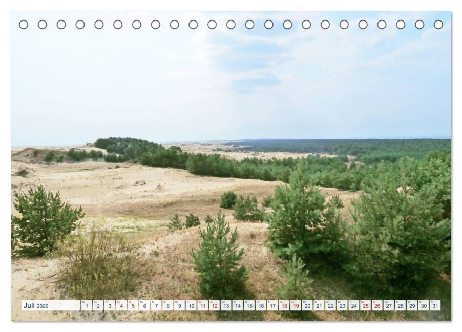 InsideView 12