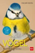Cover-Bild zum Titel 'Vögel' von 'Einhard Bezzel'