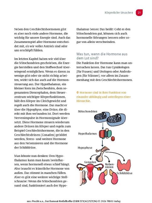 InsideView 16