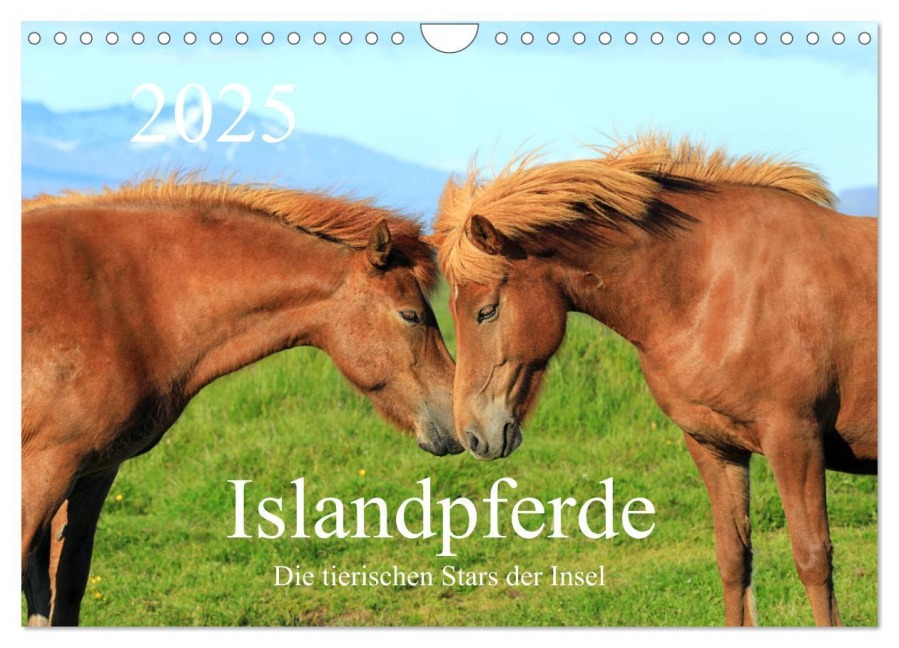 Islandpferde - Die tierischen Stars der Insel (Wandkalender 2025 DIN A4 quer), CALVENDO Monatskalender - Rainer Grosskopf