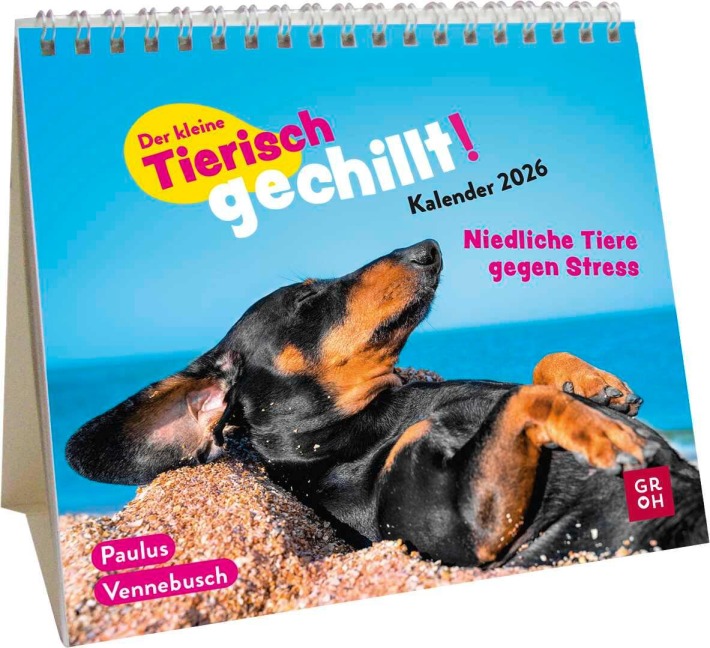 Mini-Kalender 2026: Der kleine Tierisch gechillt! Kalender - Paulus Vennebusch