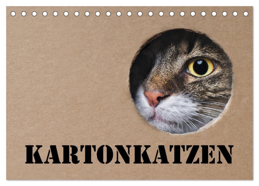 Karton Katzen (Tischkalender 2026 DIN A5 quer), CALVENDO Monatskalender - Thorsten Nilson