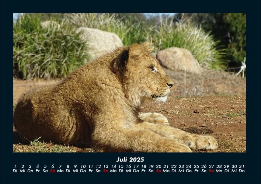InsideView 11