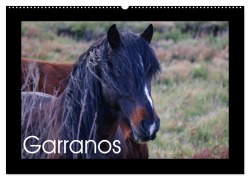 Cover-Bild zum Titel 'Garranos - Bedrohte Wildpferde Europas (Wandkalender 2026 DIN A2 quer), CALVENDO Monatskalender' von 'Sabine Bengtsson/Www. Perlenfaenger. Com'