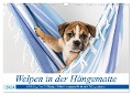 Welpen in der Hängematte (Wandkalender 2024 DIN A3 quer), CALVENDO Monatskalender - Fotodesign Verena Scholze