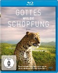 Cover-Bild zum Titel 'Gottes wilde Schöpfung - Erde' von 'N. D. Wilson'
