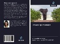 Cover-Bild zum Titel 'Afrika in zijn meanders' von 'Arsène Ondo-Eyeghe, Marie-Immaculée Mbazogho-Ondo'