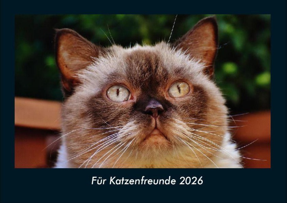 Für Katzenfreunde 2026 Fotokalender DIN A4 - Tobias Becker