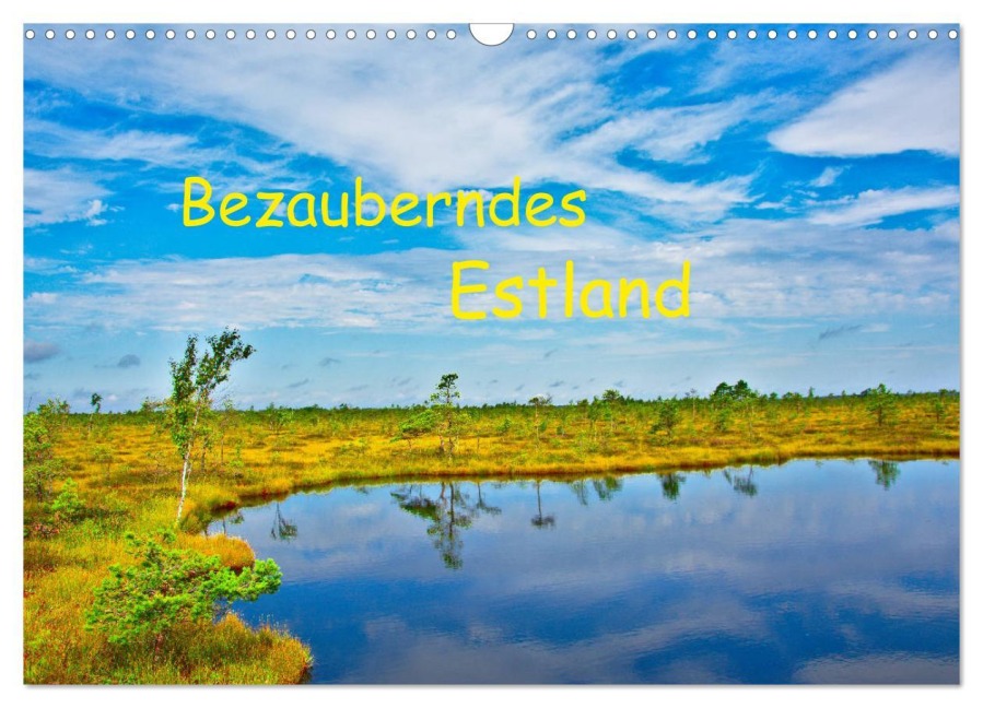 Bezauberndes Estland (Wandkalender 2025 DIN A3 quer), CALVENDO Monatskalender - Lost Plastron Pictures