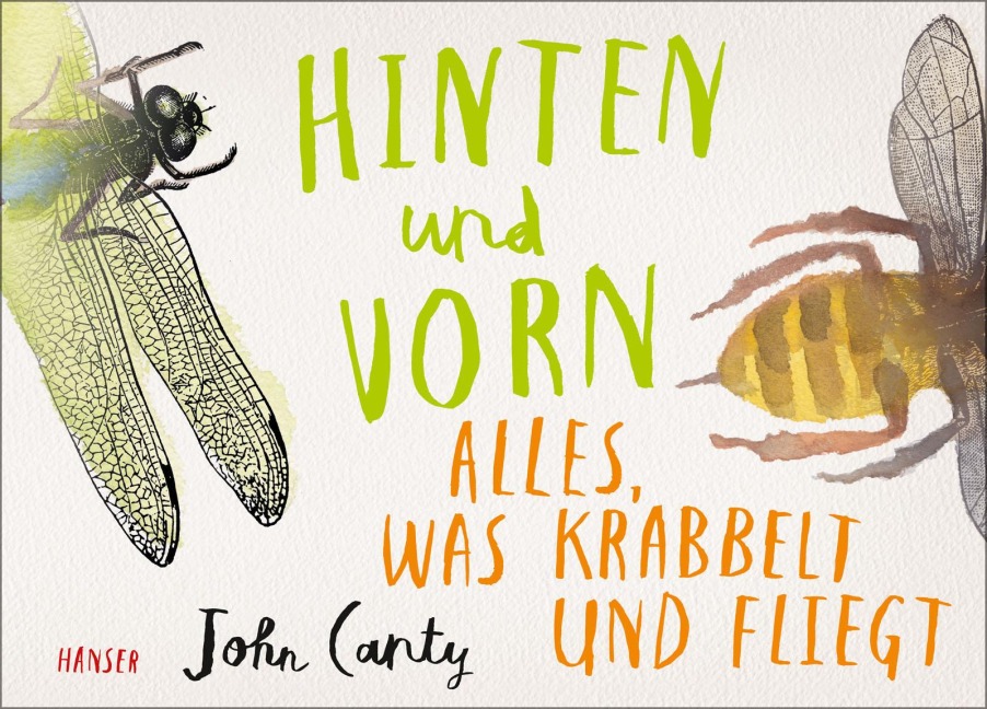 Hinten und vorn - Alles, was krabbelt und fliegt - John Canty