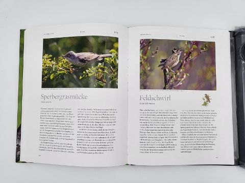 InsideView 6