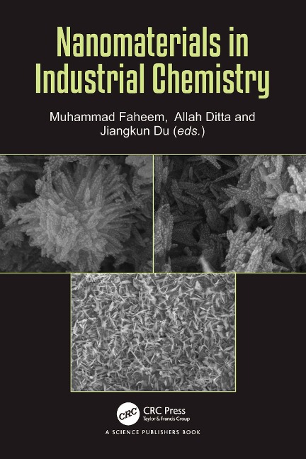 Nanomaterials in Industrial Chemistry - 