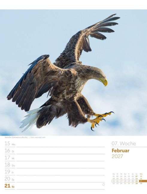 InsideView 11