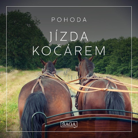 Pohoda - Jízda ko¿árem - Rasmus Broe