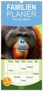 Cover-Bild zum Titel 'Familienplaner 2026 - Orang-Utans mit 5 Spalten (Wandkalender, 21 x 45 cm) CALVENDO' von 'Elisabeth Stanzer'