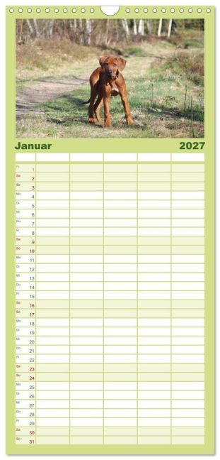 InsideView 5