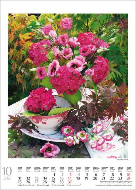 InsideView 10