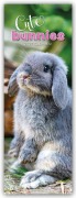 Cover-Bild zum Titel 'Cute Bunnies - Süße Häschen - Slimline-Kalender 2027' von 'Gifted Stationery Co. Ltd'