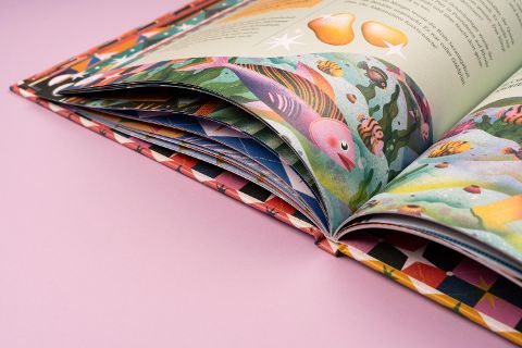 InsideView 5