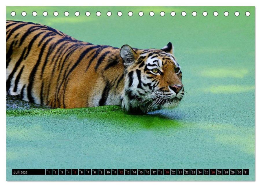 InsideView 12