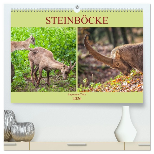 Steinböcke - imposante Tiere (hochwertiger Premium Wandkalender 2026 DIN A2 quer), Kunstdruck in Hochglanz - Liselotte Brunner-Klaus