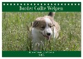 Border Collie Welpen - Kleine Wirbelwinde zum Verlieben (Tischkalender 2025 DIN A5 quer), CALVENDO Monatskalender - Volko Neitmann