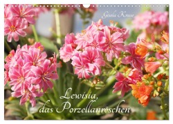 Cover-Bild zum Titel 'Lewisia, das Porzellanröschen (Wandkalender 2026 DIN A3 quer), CALVENDO Monatskalender' von 'Gisela Kruse'
