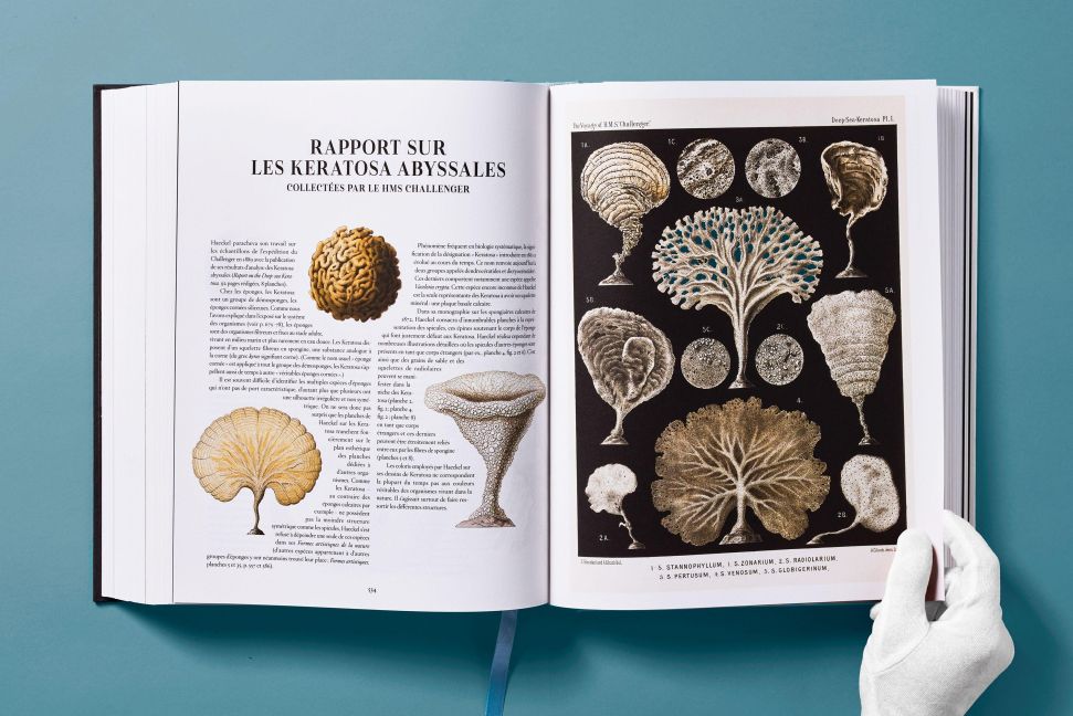 InsideView 26