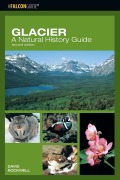 Cover-Bild zum Titel 'Glacier: A Natural History Guide' von 'David Rockwell'