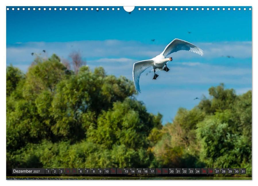 InsideView 4
