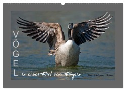 Cover-Bild zum Titel 'VÖGEL (Wandkalender 2026 DIN A2 quer), CALVENDO Monatskalender' von 'Philippe Henry'