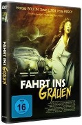 Cover-Bild zum Titel 'Fahrt Ins Grauen' von 'David Letch'