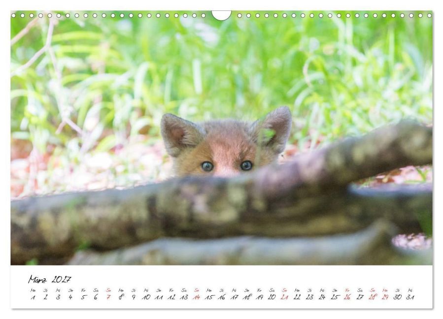 InsideView 8