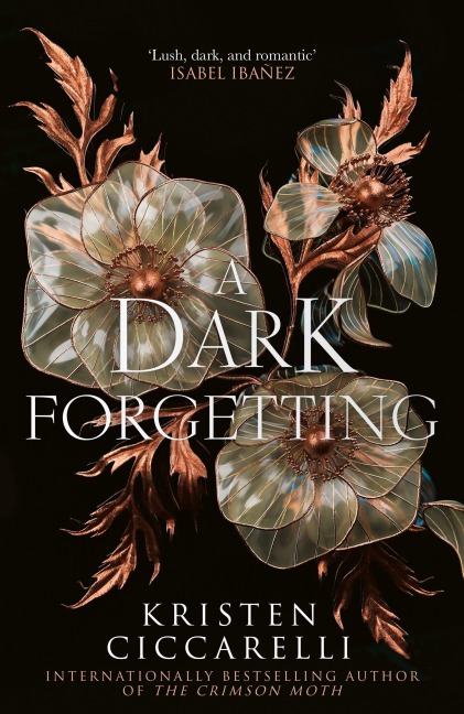 DARK FORGETTING HB - Kristen Ciccarelli